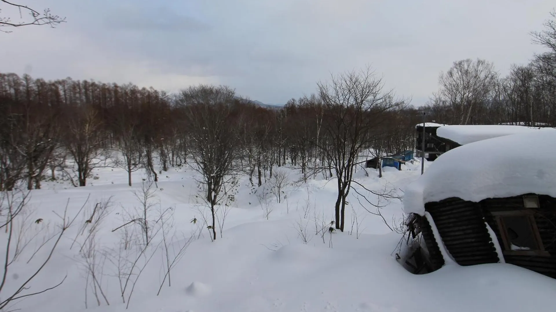 Forest Hideaway Niseko 0*,  Japonsko