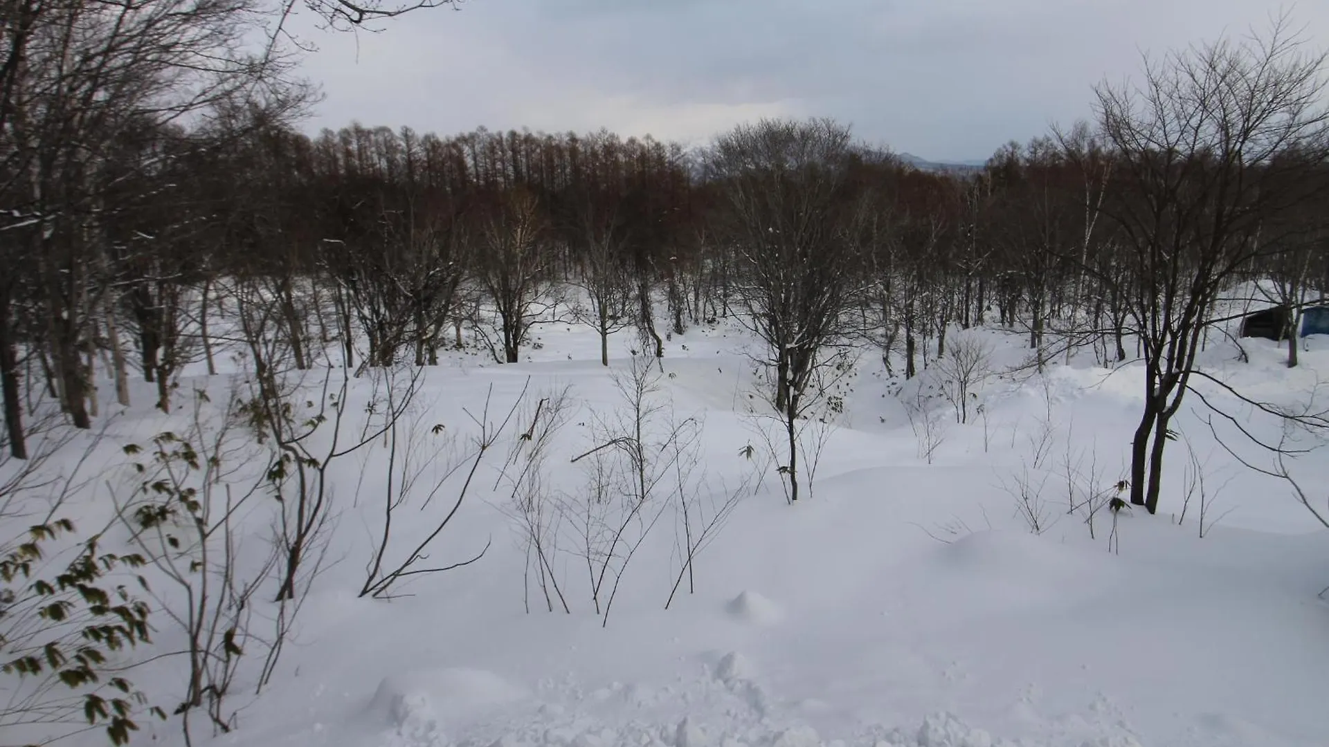 Forest Hideaway Niseko Prázdninový dům