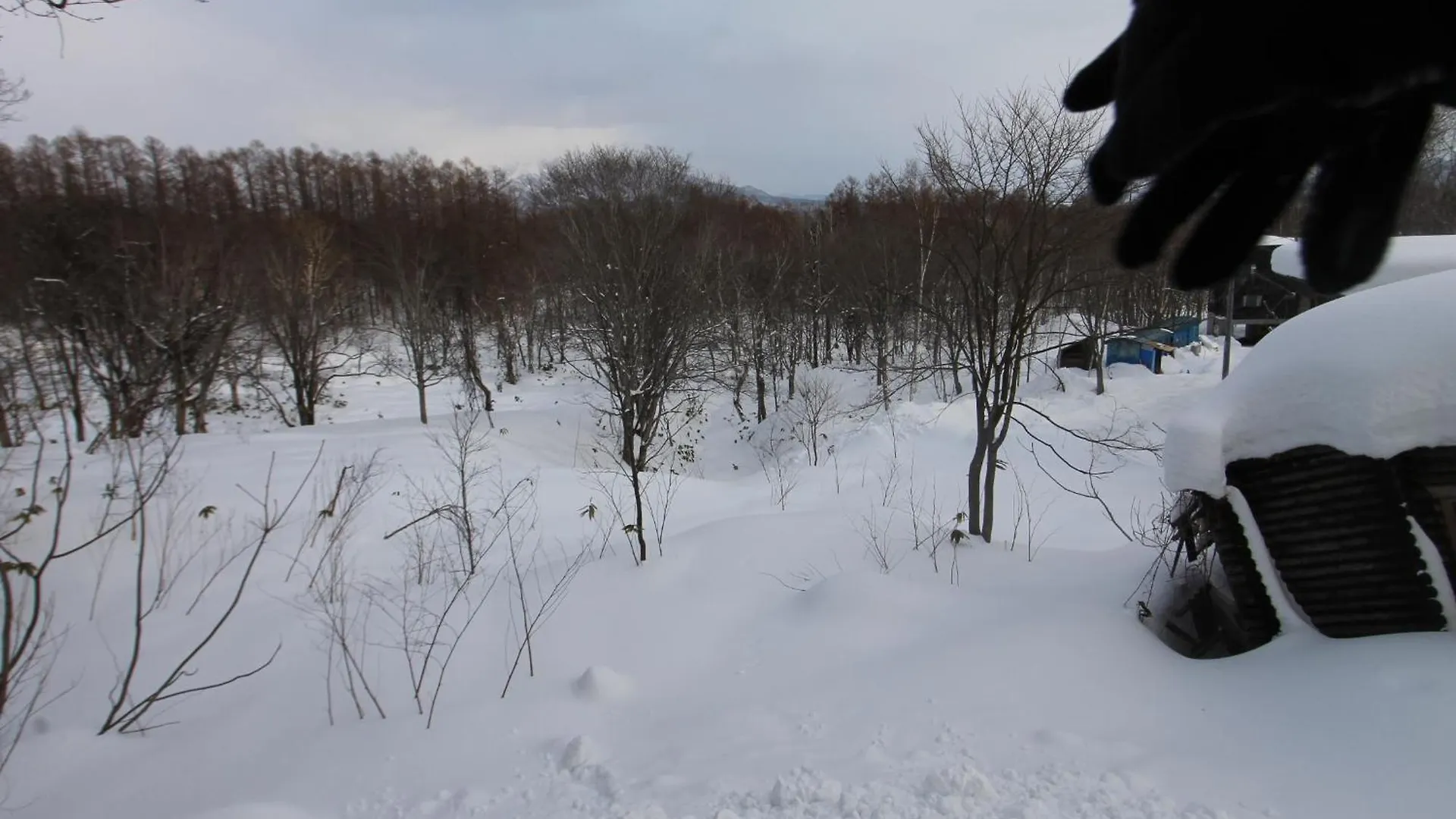 Forest Hideaway Niseko
